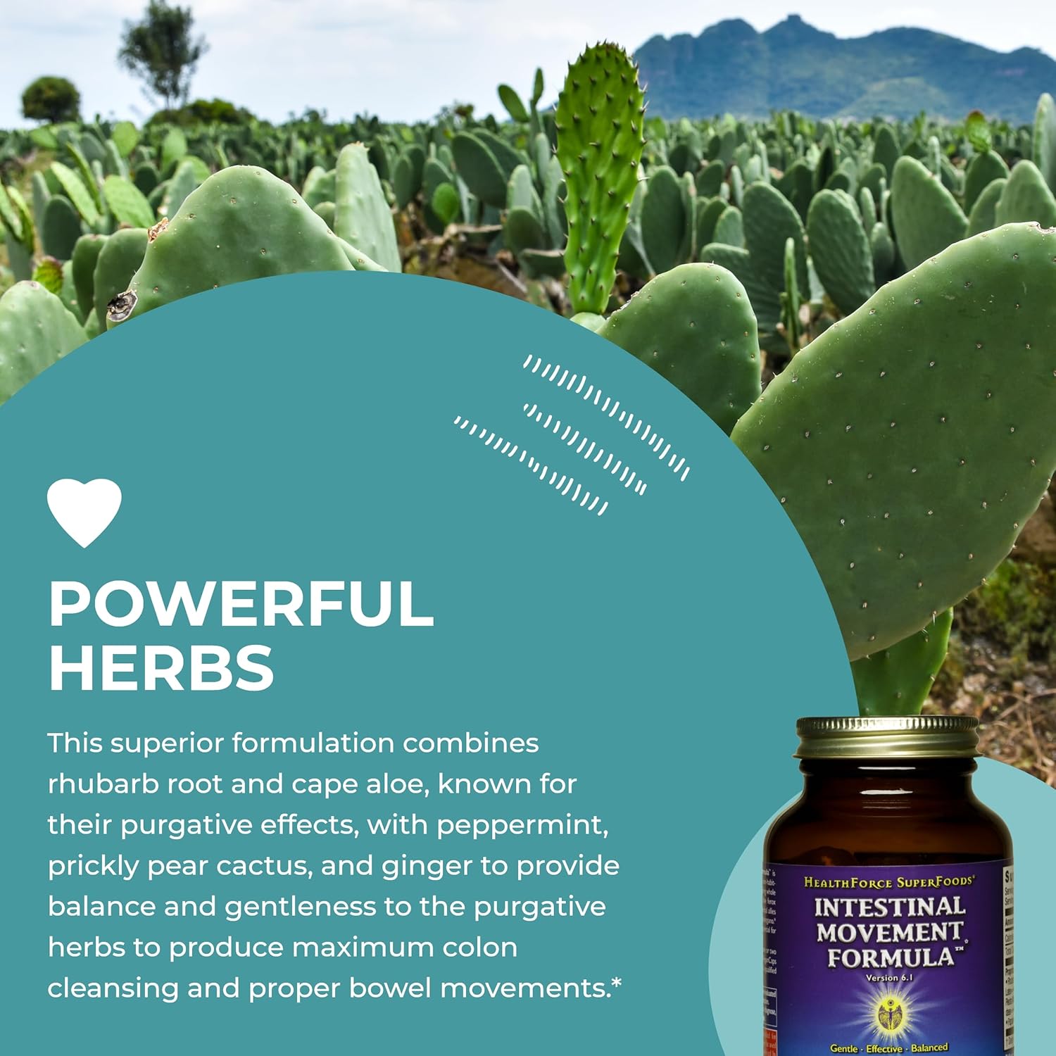 HealthForce SuperFoods Variety Pack: Liver Rescue & Intestinal Movement Formula - 120 VeganCaps each