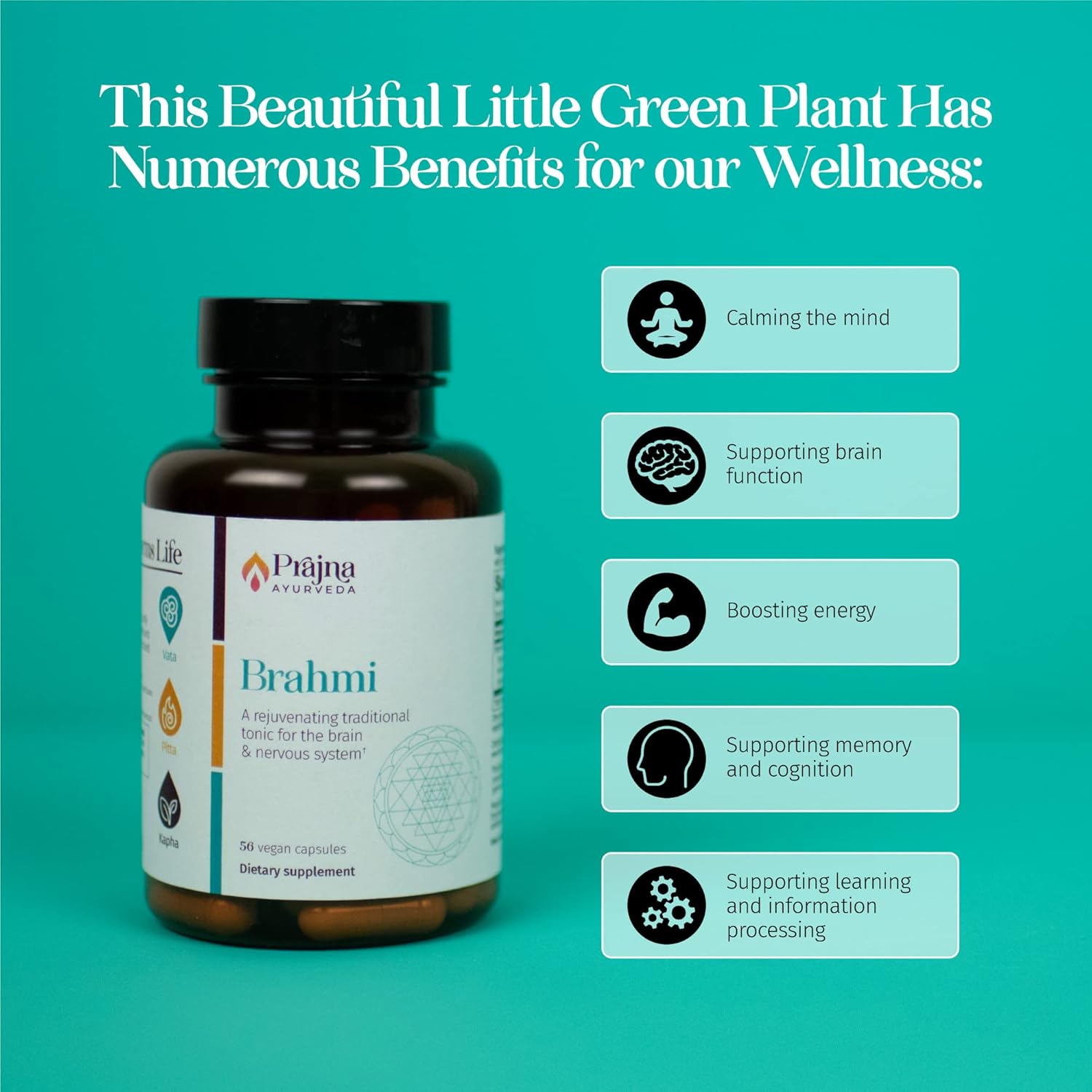 Healthy Directions Dr. Chaudhary’s Prajna Ayurveda Brahmi Formula with Synapsa for Memory - 500 mg Vegan, Gluten & Soy-Free