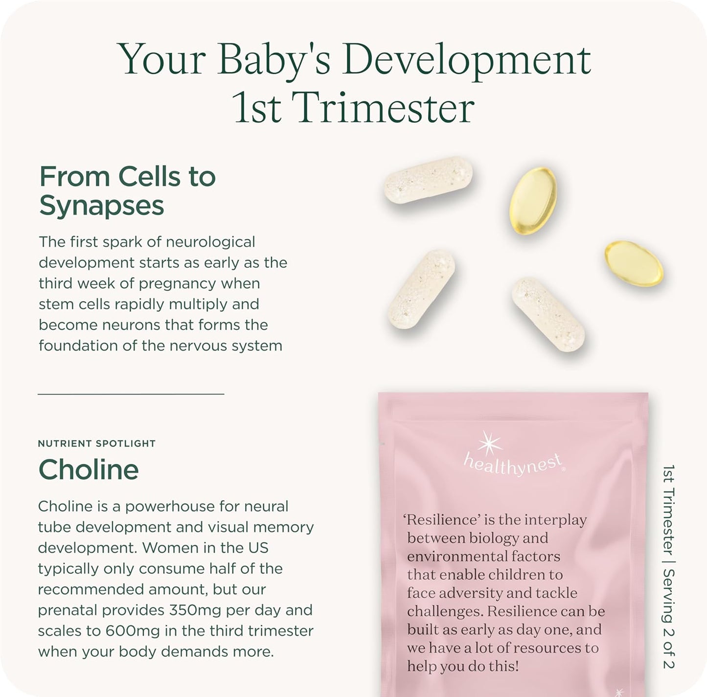 Healthybaby HealthyNest Preconception & 1st Trimester Prenatal Vitamin | Supports Fetal Brain Development | Methylfolate, Choline, DHA, Iron, Inositol | 31 Day Supply