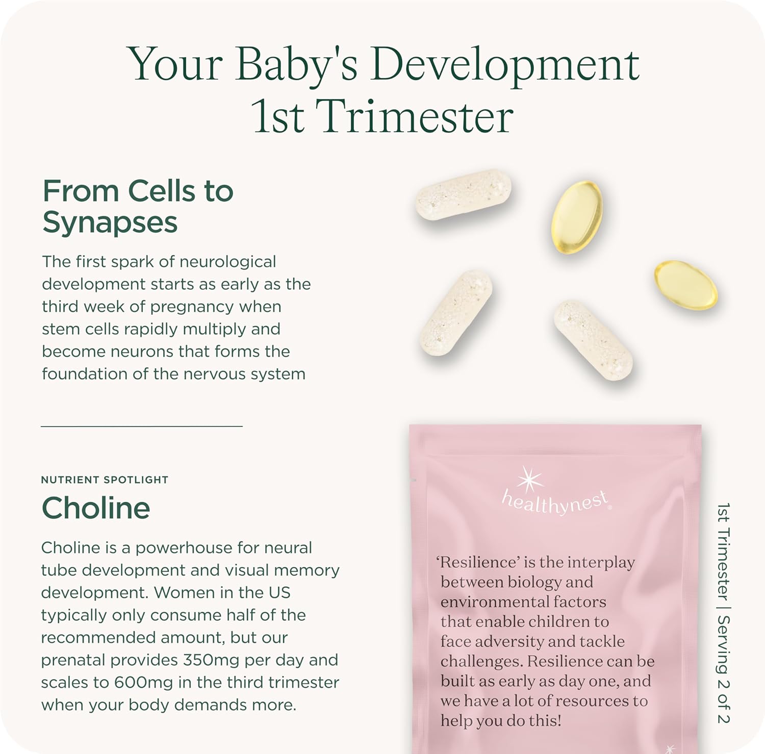 Healthybaby HealthyNest Preconception & 1st Trimester Prenatal Vitamin | Supports Fetal Brain Development | Methylfolate, Choline, DHA, Iron, Inositol | 31 Day Supply