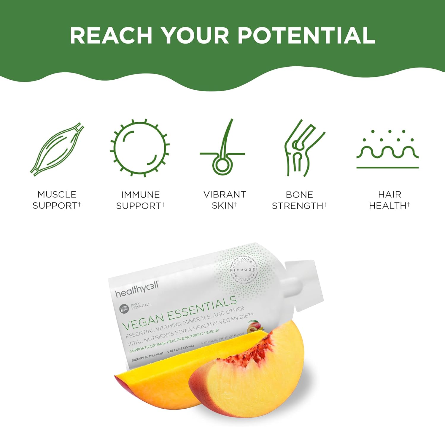 Healthycell Focus & Recall + Vegan Multivitamin Bundle for Maximum Absorption - Nootropic & Vegan Essentials - 60 Gel Packs