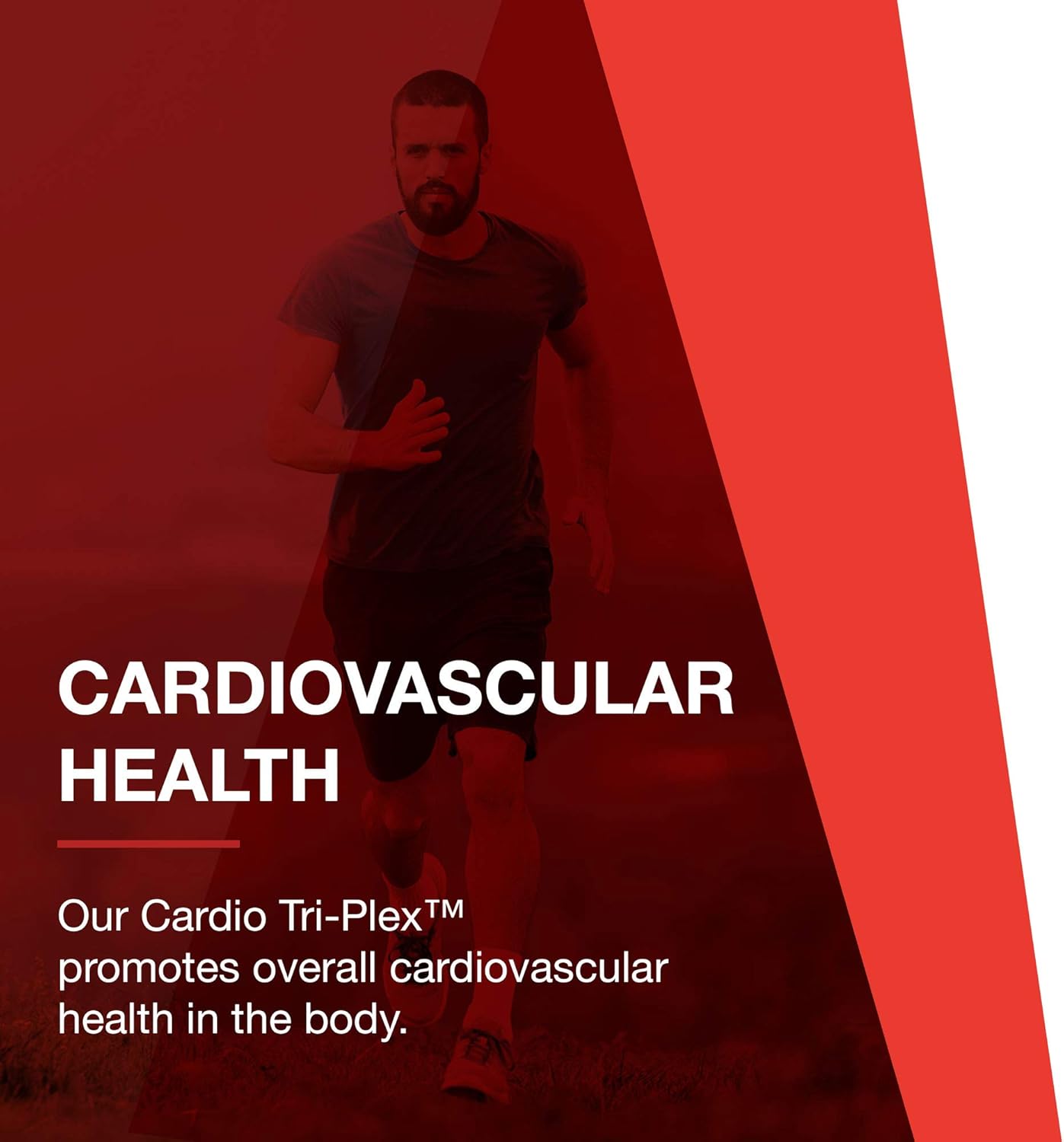 Heart Health Formula with Red Yeast Rice, CoQ10, Omega-3 Fish Oil - DHA Supplements by Protocol for Life Balance