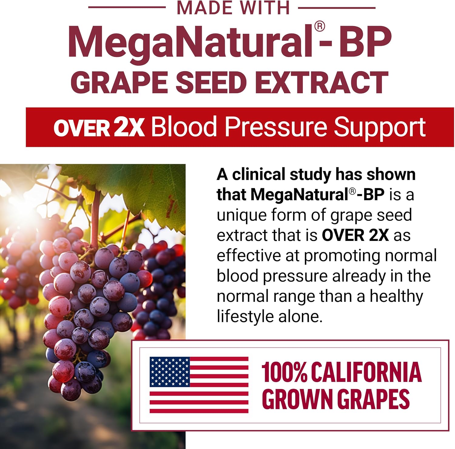 Heart-Healthy Energy: Total Beets Blood Pressure Support Supplement - 120 Chews, 2-Pack