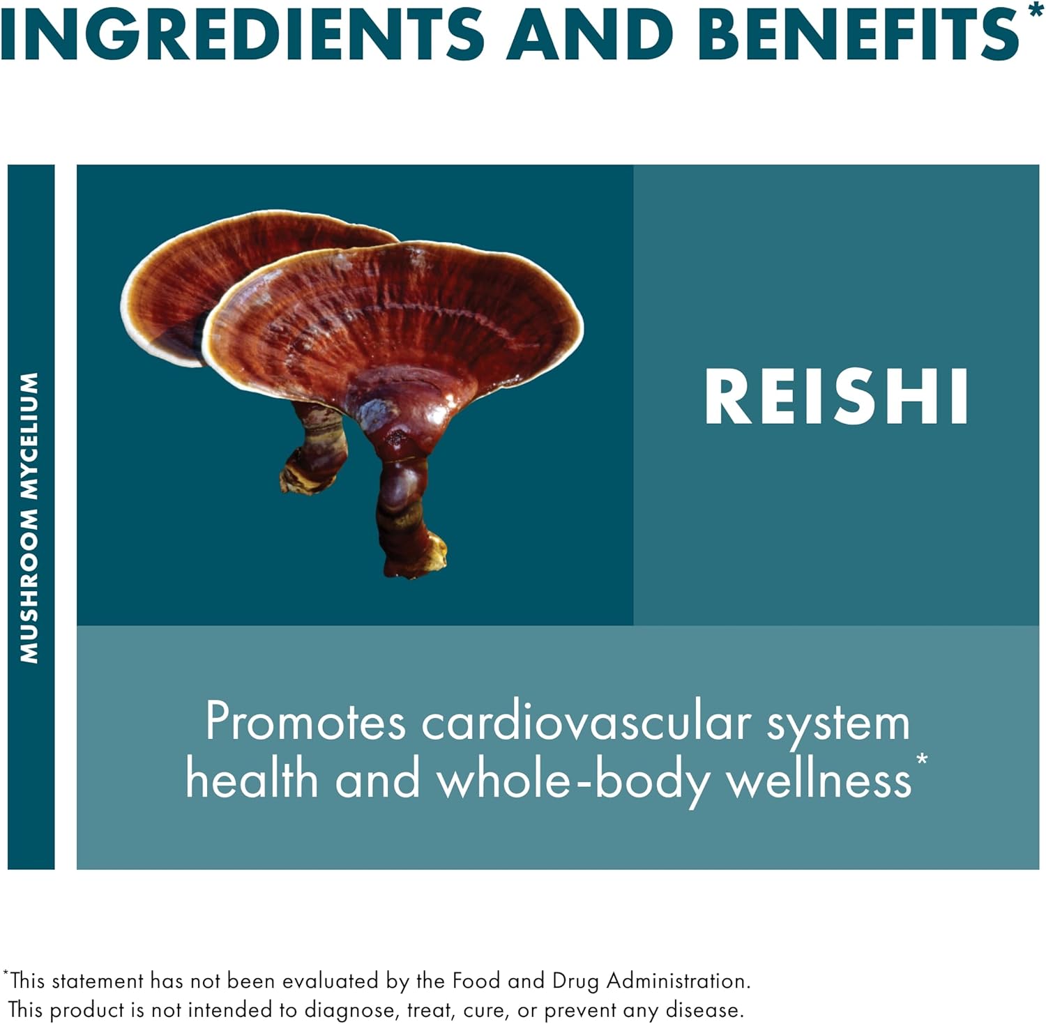 Heart & Immune Health Support with Host Defense Reishi Extract - Mushroom Supplement for Energy, Vitality & Well-Being - 2 fl oz (60 Servings) - BoostGo Australia