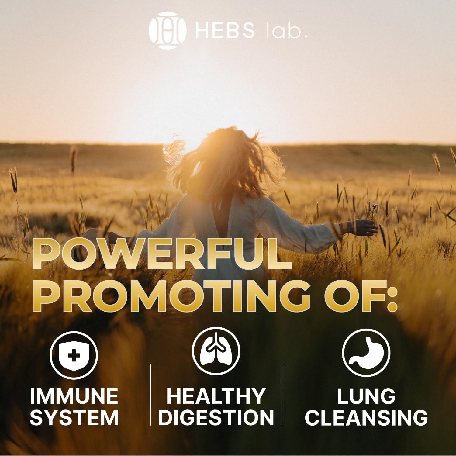 HEBS LAB Multivitamin Fruits and Vegetables Bundle with Mullein Leaf Extract - Immune Booster and Lung Support Supplement