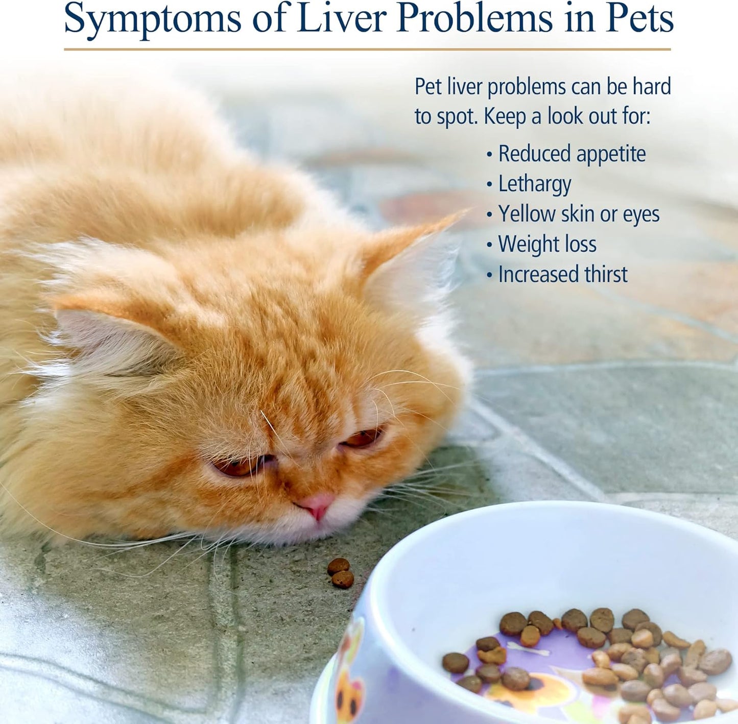 Hepato Support Milk Thistle Supplement for Dogs & Cats - 100mg Silymarin Capsules - Promotes Healthy Liver Function - 90 ct.