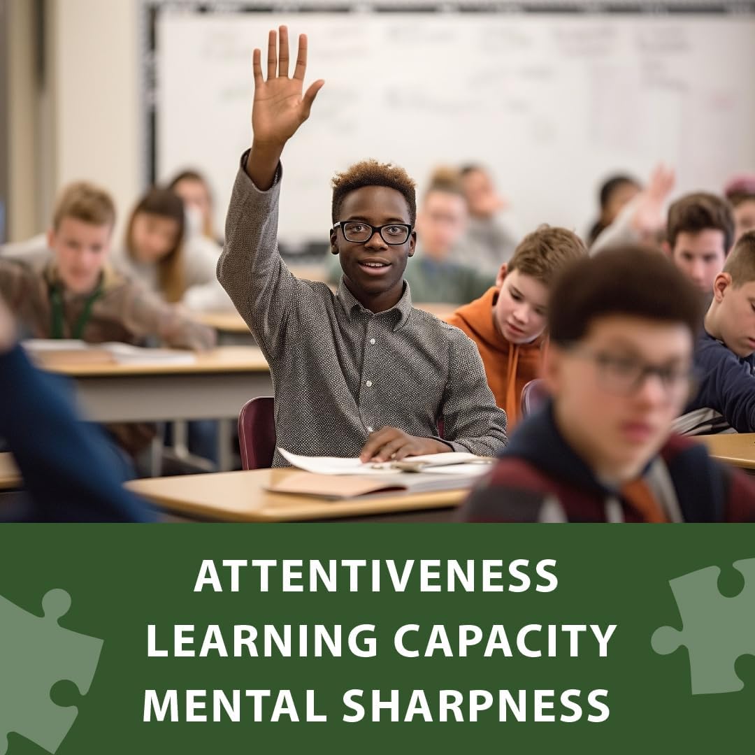 HERB-E-CONCEPT LTO3 Original Capsules with L-Theanine, Omega-3, and Skullcap - Enhances Focus, Mental Clarity, and Positive Mood (90 Capsules)