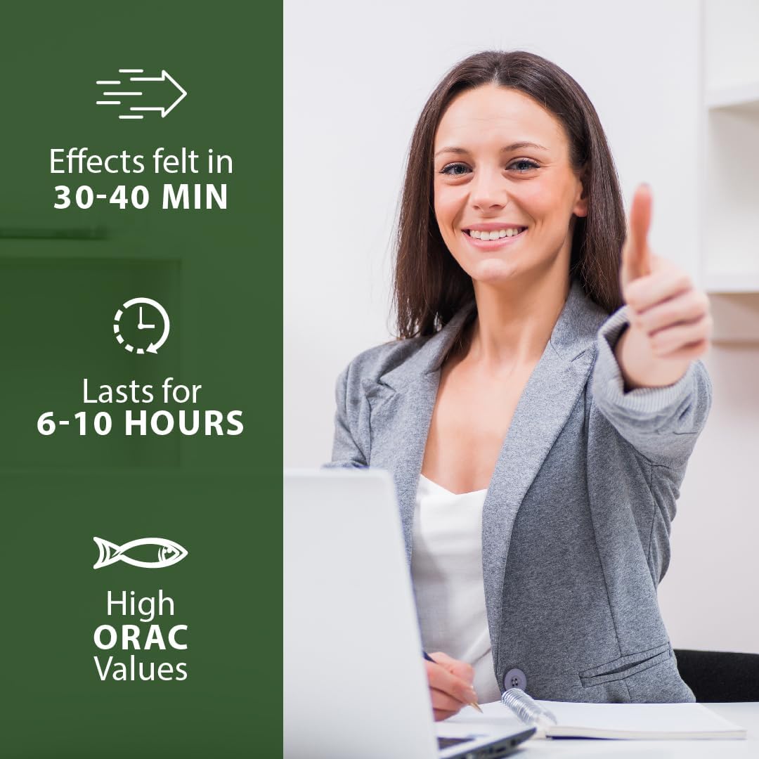 HERB-E-CONCEPT LTO3 Original Capsules with L-Theanine, Omega-3, and Skullcap - Enhances Focus, Mental Clarity, and Positive Mood (90 Capsules)