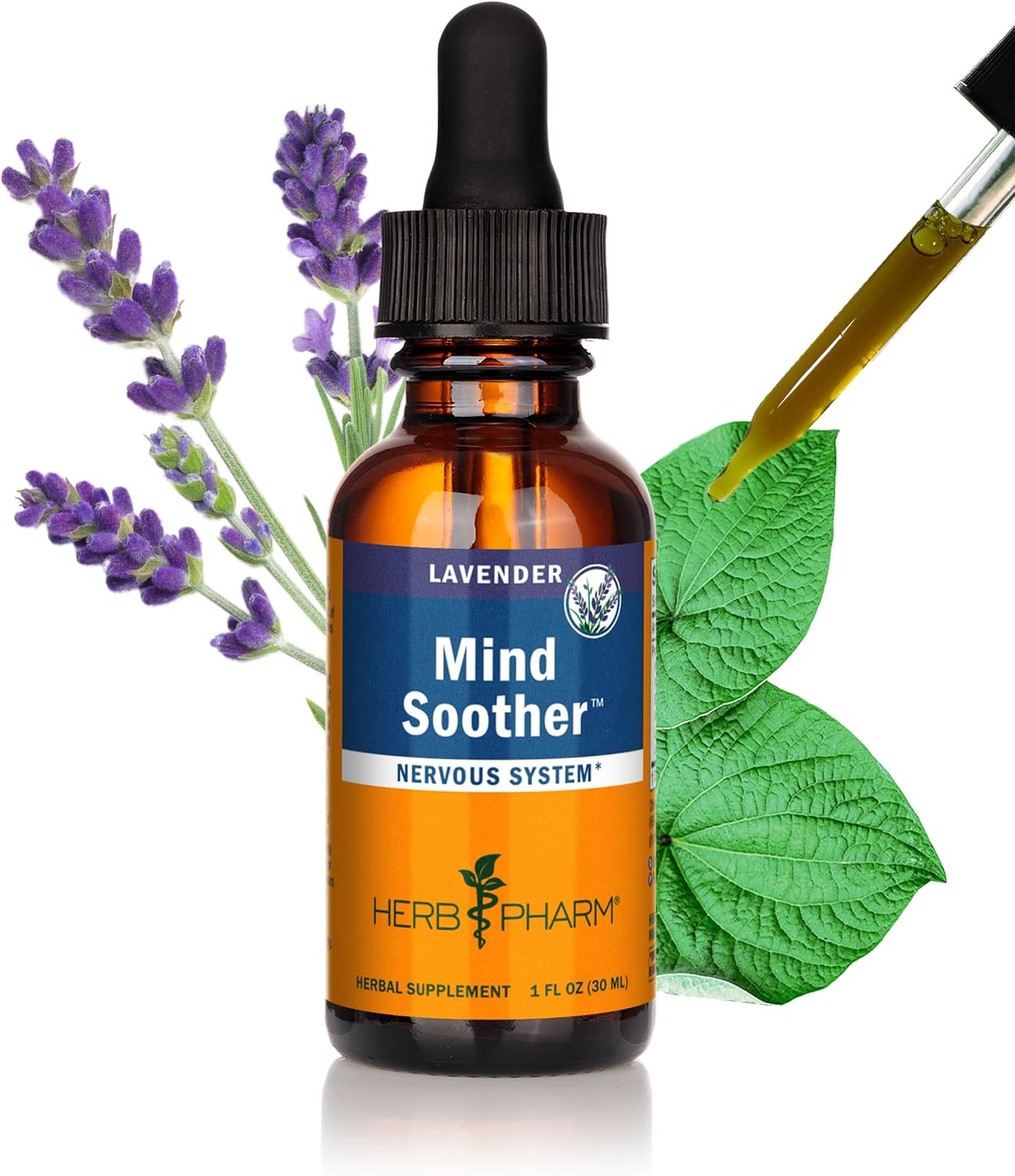 Herb Pharm Kava Anxiety Soother Liquid Herbal Formula for Nervous System Support - 1 Ounce