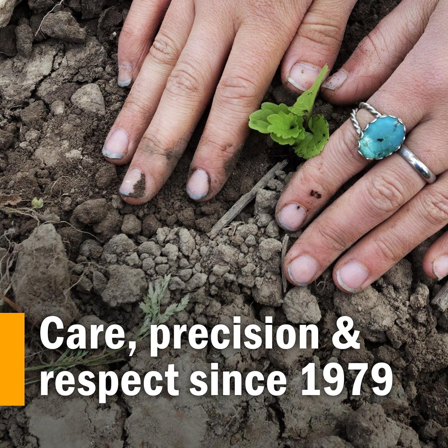 Herb Pharm Menopause Health: Women's Herbal Supplement with Vitex Chaste Tree Berry & Black Cohosh Tincture - Supports Reproductive System, Vegan & Gluten-Free - 4 Oz Bottle