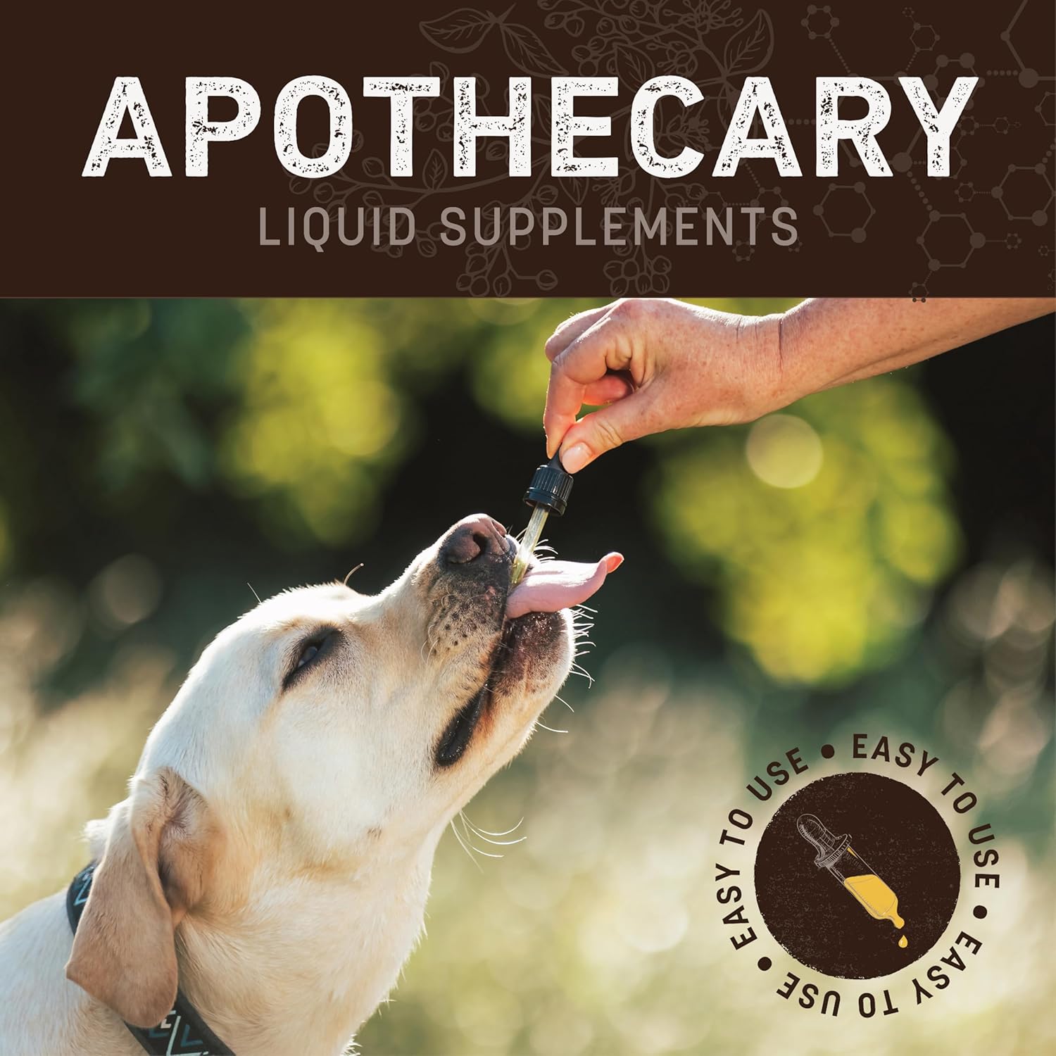 Herbal Allergy and Skin Remedies for Pets | 2 fl oz Bottle