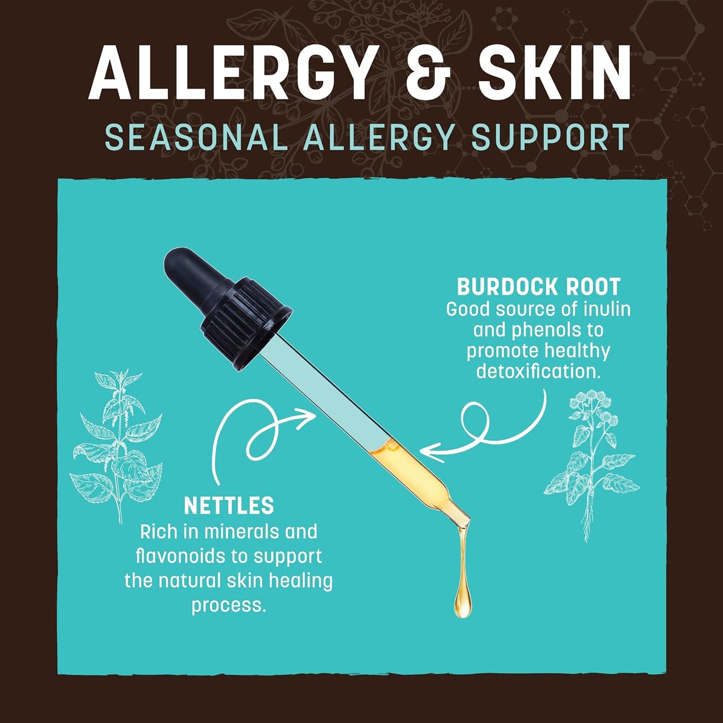 Herbal Allergy and Skin Remedies for Pets | 2 fl oz Bottle