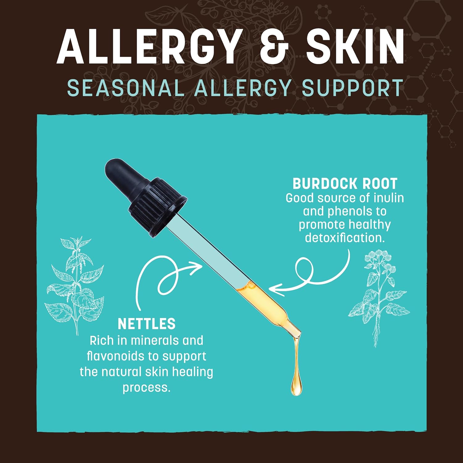 Herbal Allergy and Skin Remedies for Pets | 2 fl oz Bottle