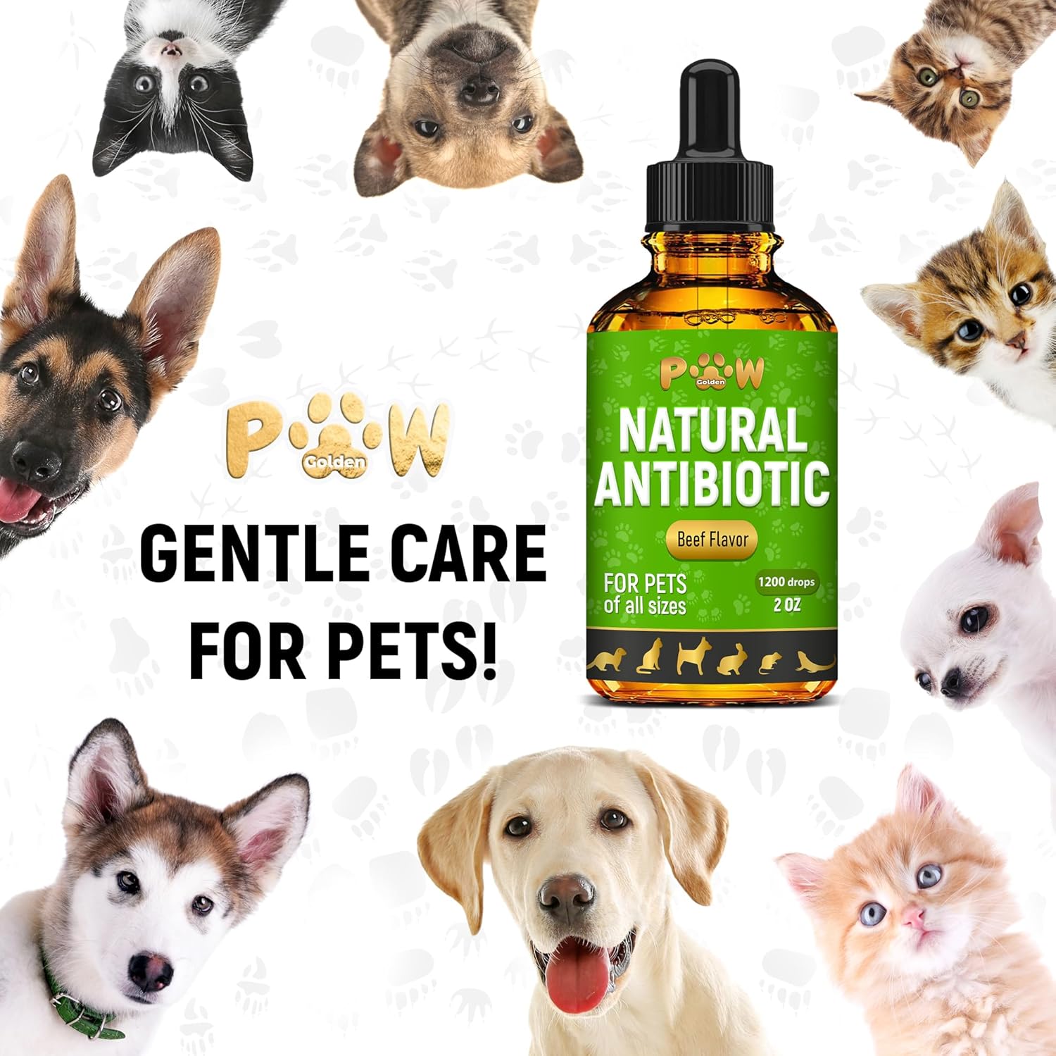 Herbal Antibiotics for Pets | Digestion, Breathing, Urination Support | Infections, Cough, Allergies Relief | Beef & Cranberry Flavor | All Breeds | 2 Oz