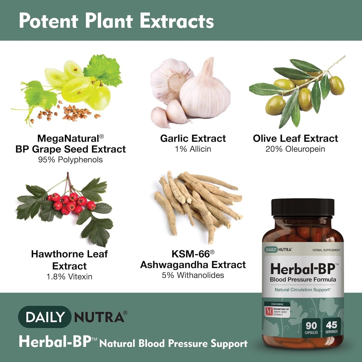 Herbal-BP Natural Blood Pressure Supplement with Grape Seed Extract - 90 Capsules for Circulatory Health
