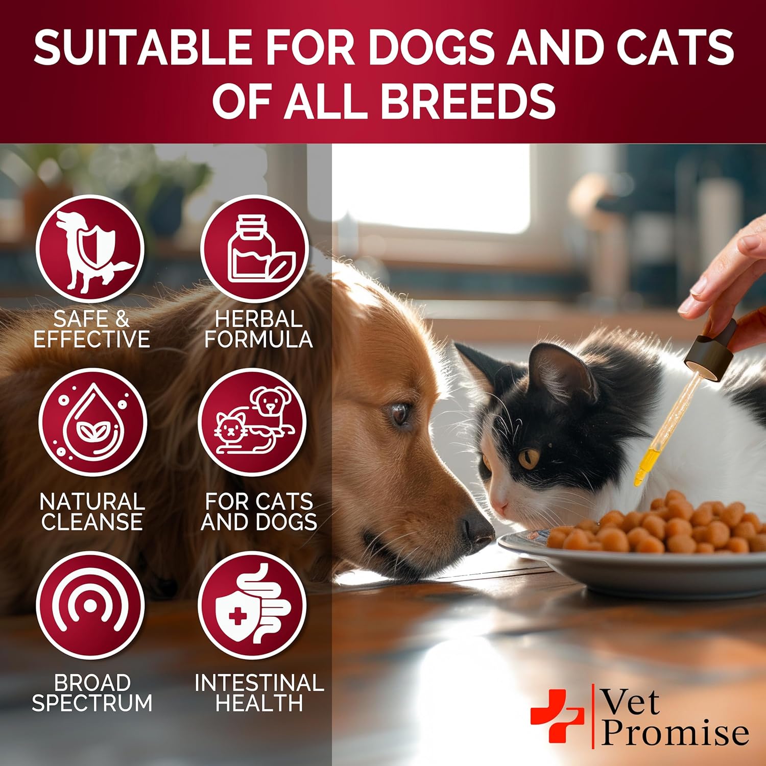 Herbal Broad Spectrum Intestinal Defense Liquid Supplement for Cats & Dogs - USA Made Digestive Support - Removes Parasites & Toxins - Natural Puppy & Kitten Medication