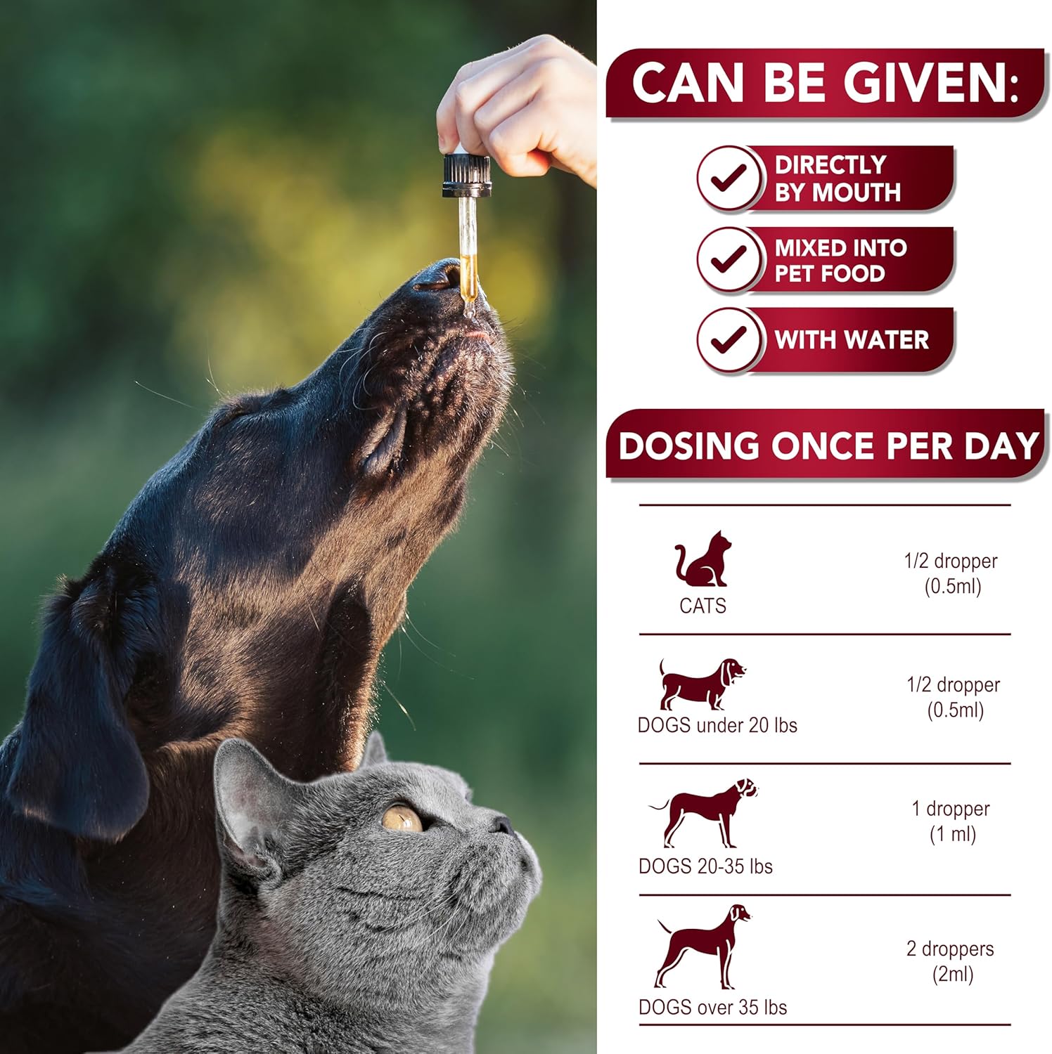 Herbal Broad Spectrum Intestinal Defense Liquid Supplement for Cats & Dogs - USA Made Digestive Support - Removes Parasites & Toxins - Natural Puppy & Kitten Medication