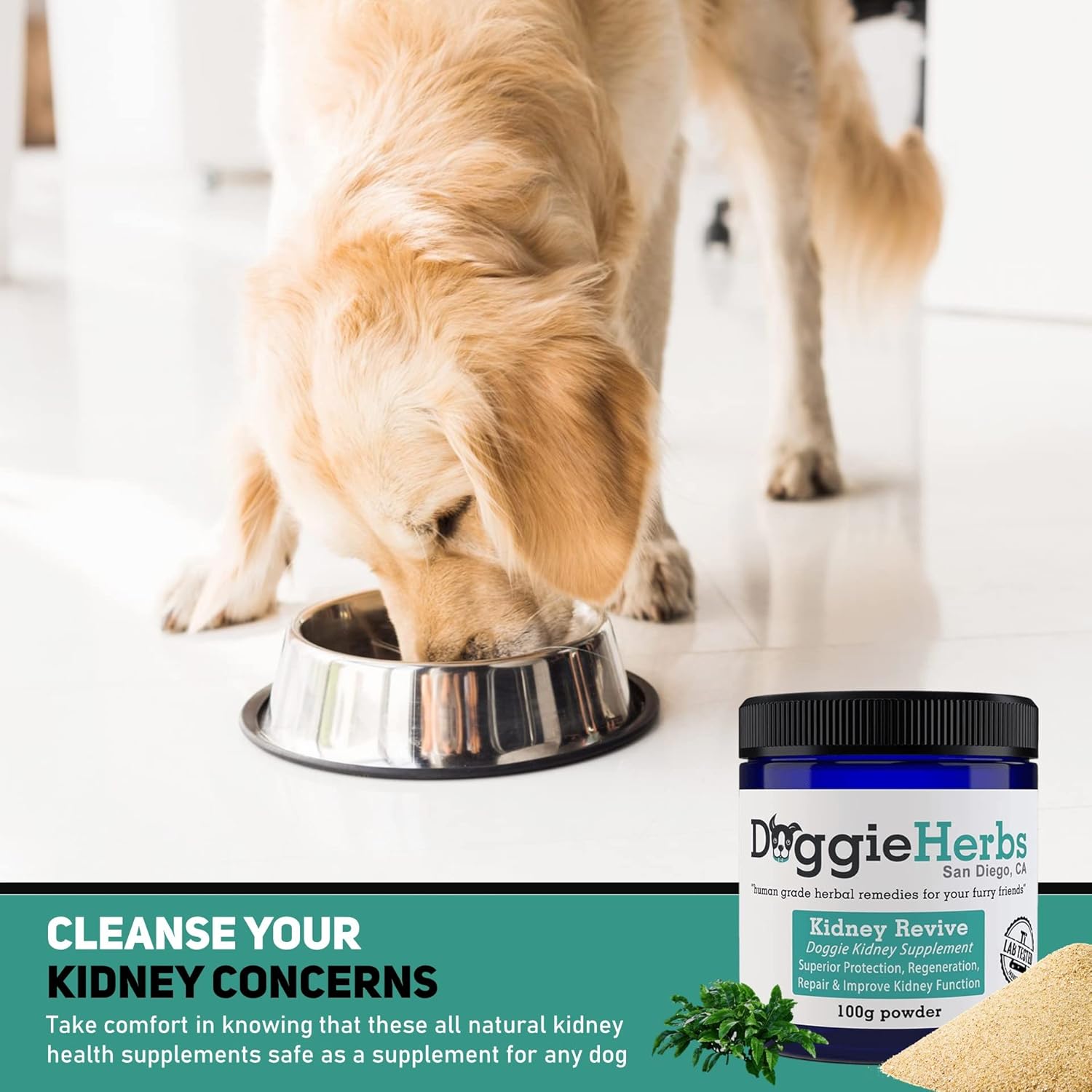 Herbal Dog Kidney Health Supplement for Acute and Chronic Ailments - Kidney Revive by Doggie Herbs