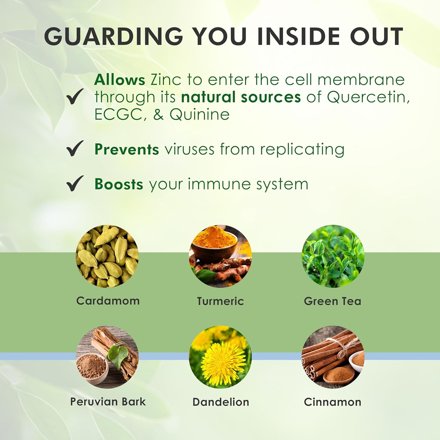 Herbal Immune Support Supplement with Zinc, Turmeric, Green Tea, and Cinnamon - 30ml Bottle