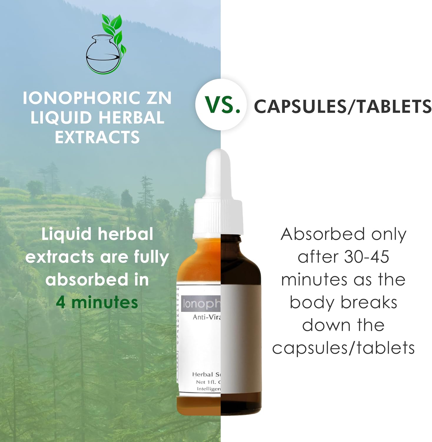 Herbal Immune Support Supplement with Zinc, Turmeric, Green Tea, and Cinnamon - 30ml Bottle