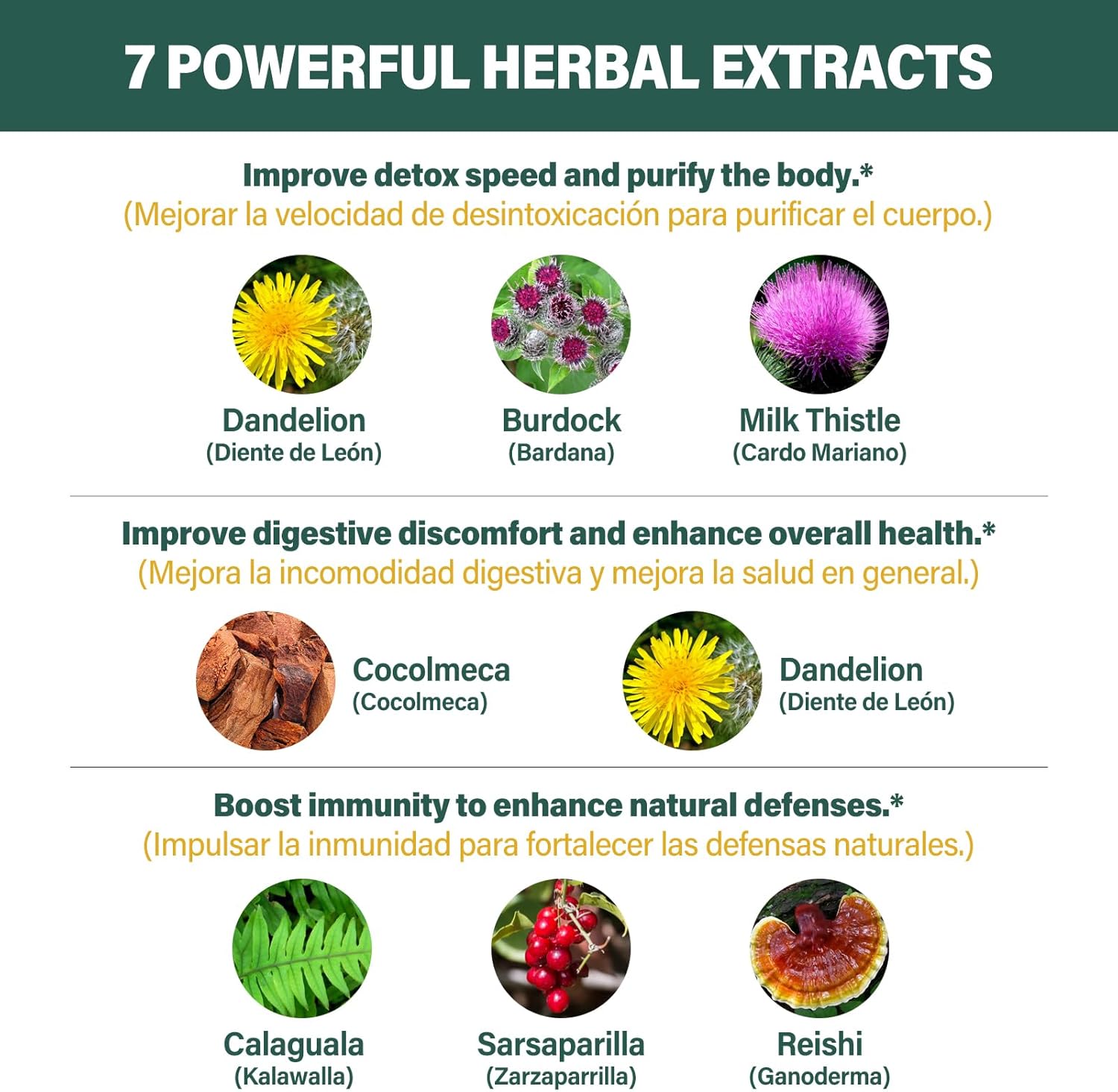 Herbal Immunity & Detox Drops with Cocolmeca Bark and Milk Thistle for Detoxification and Digestive Health