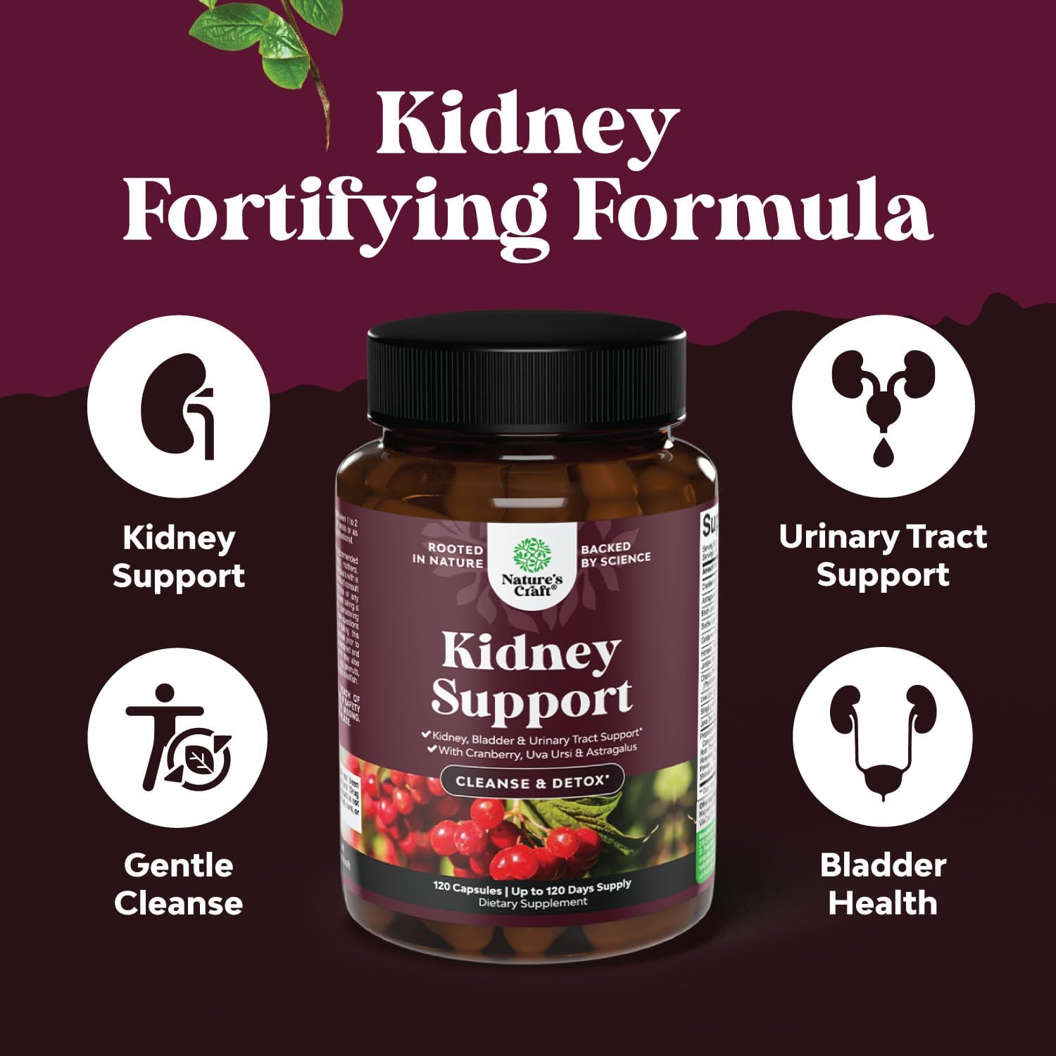Herbal Liver and Kidney Support Bundle for Detox & Health - Liver Cleanse, Repair Formula, Cranberry Supplement for Men & Women