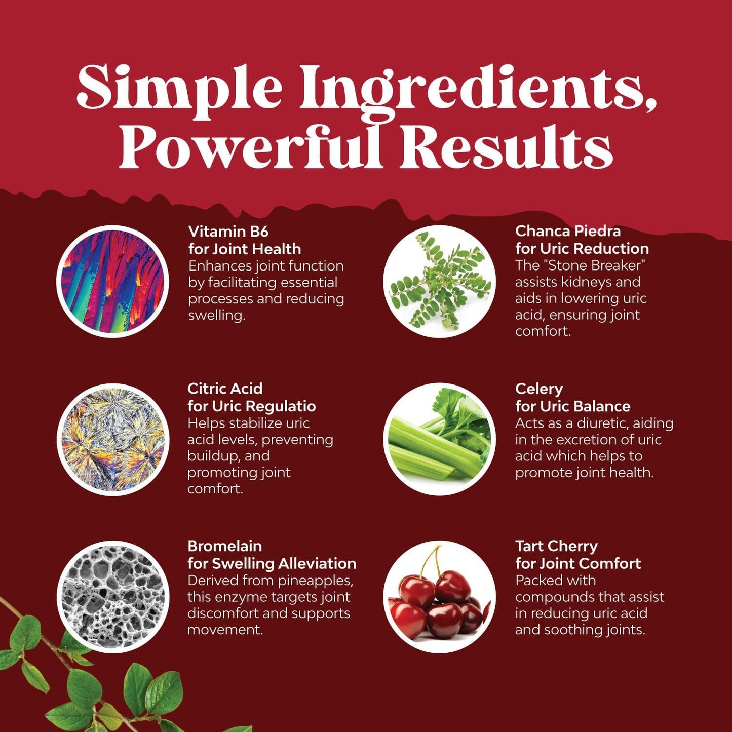 Herbal Liver Support and Uric Acid Cleanse Bundle - Natural Detox and Kidney Cleanse for Adults - Vegan Liver and Uric Acid Support Supplement