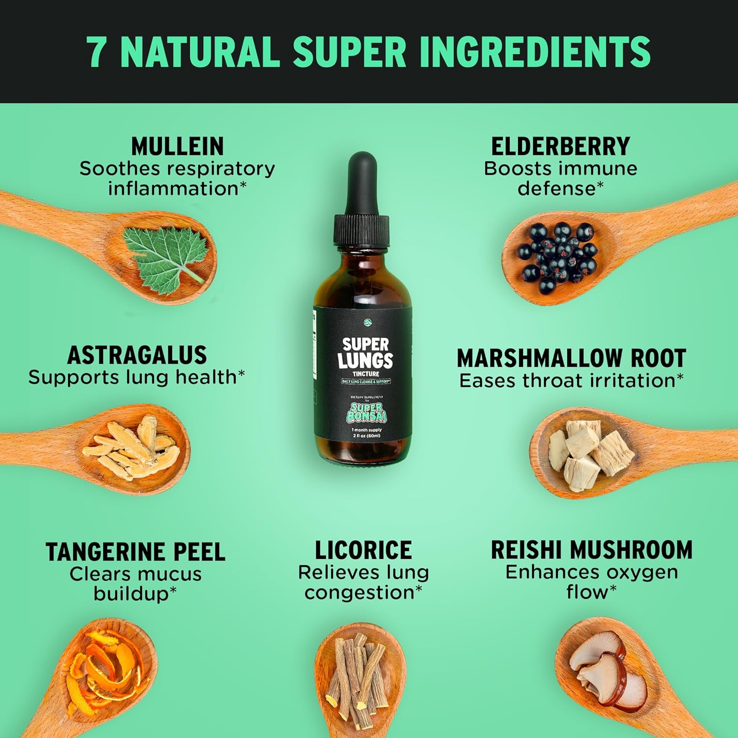 Herbal Lung Support Tincture with Mullein Leaf Extract for Clear Breathing & Wellness - 2 oz