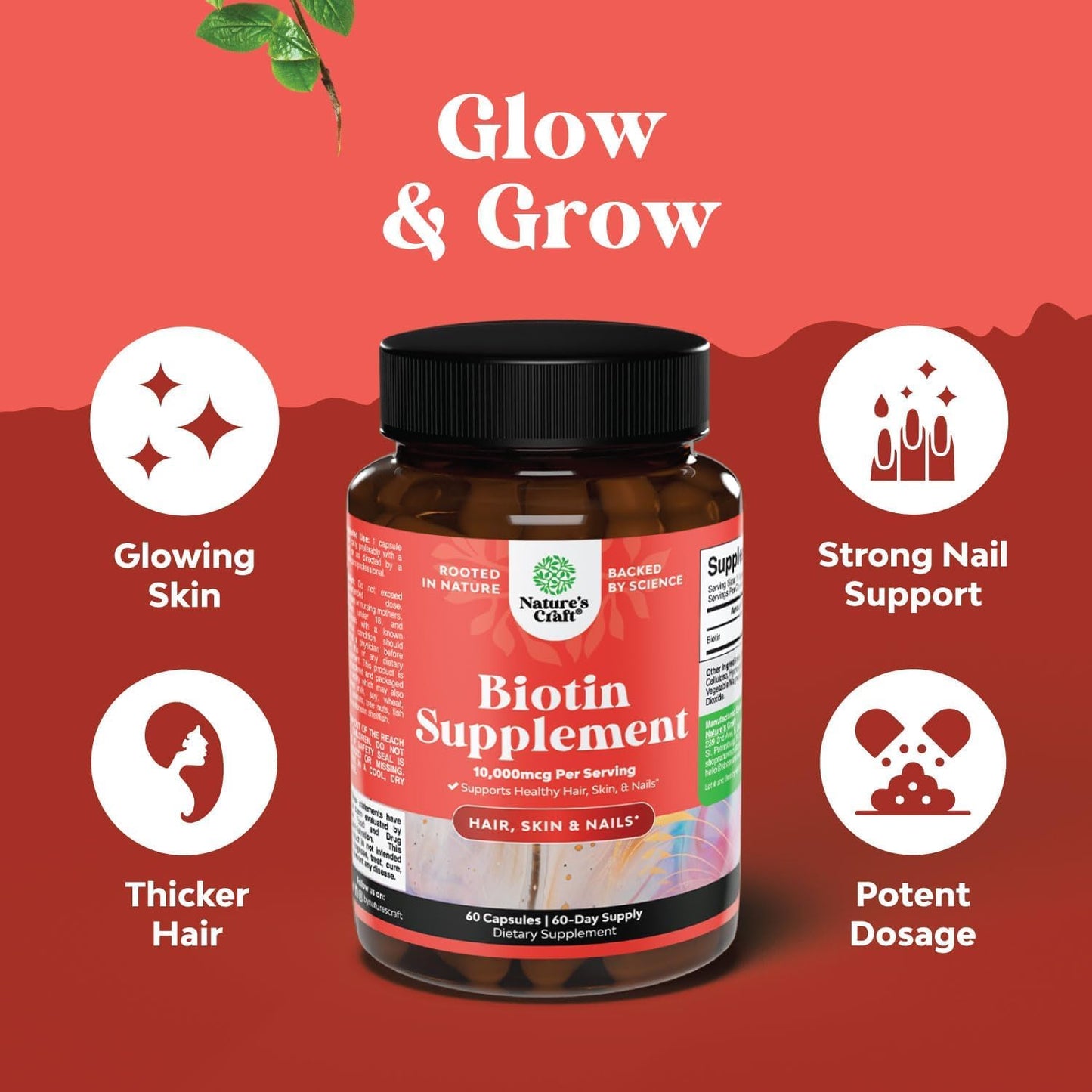 Herbal Menopause Supplement for Night Sweats & Mood with Dong Quai, Vitex, & Biotin - Stop Hair Loss & Support Women's Health