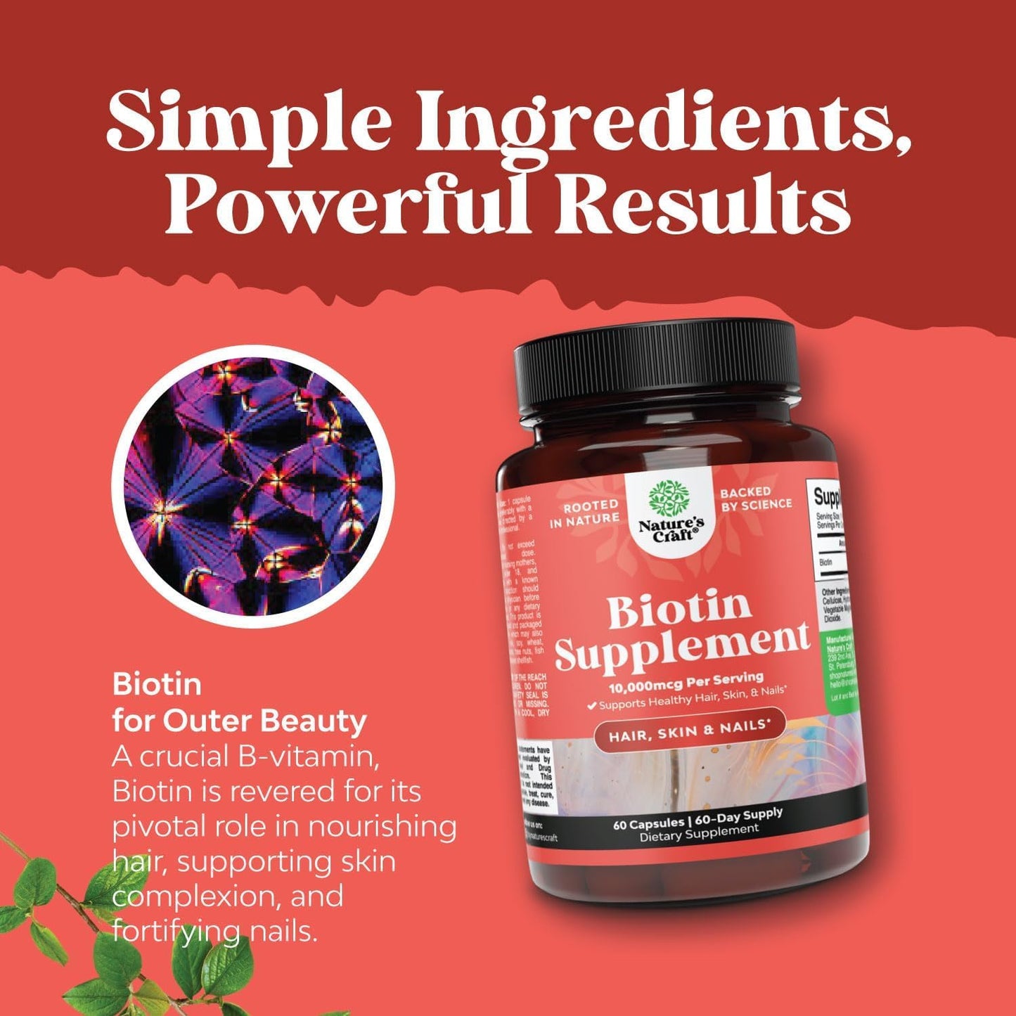Herbal Menopause Supplement for Night Sweats & Mood with Dong Quai, Vitex, & Biotin - Stop Hair Loss & Support Women's Health