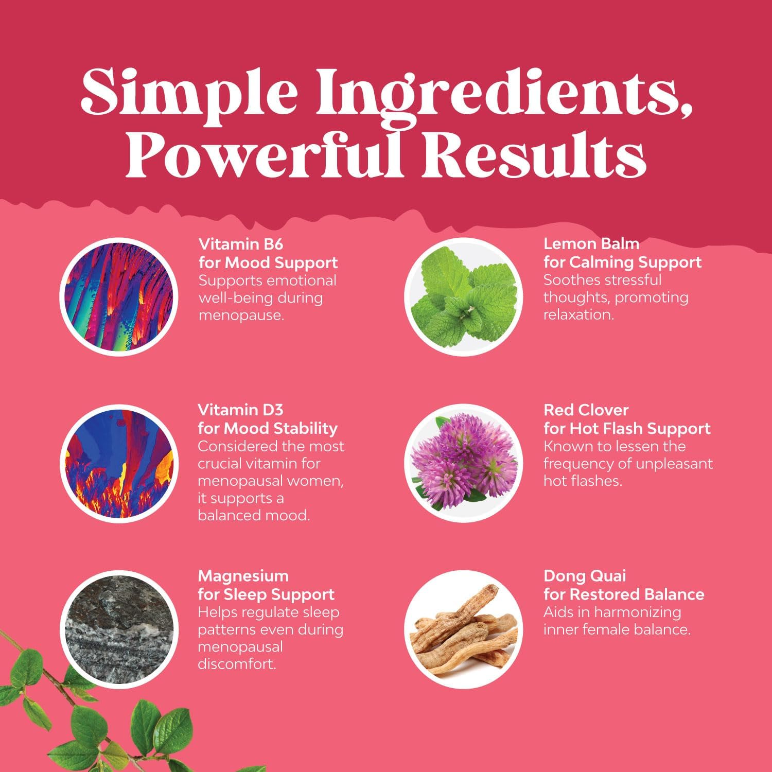 Herbal Menopause Supplement & Saw Palmetto Bundle for Women - Promotes Estrogen Balance, Thickens Hair, Blocks DHT - Hair Loss Vitamins