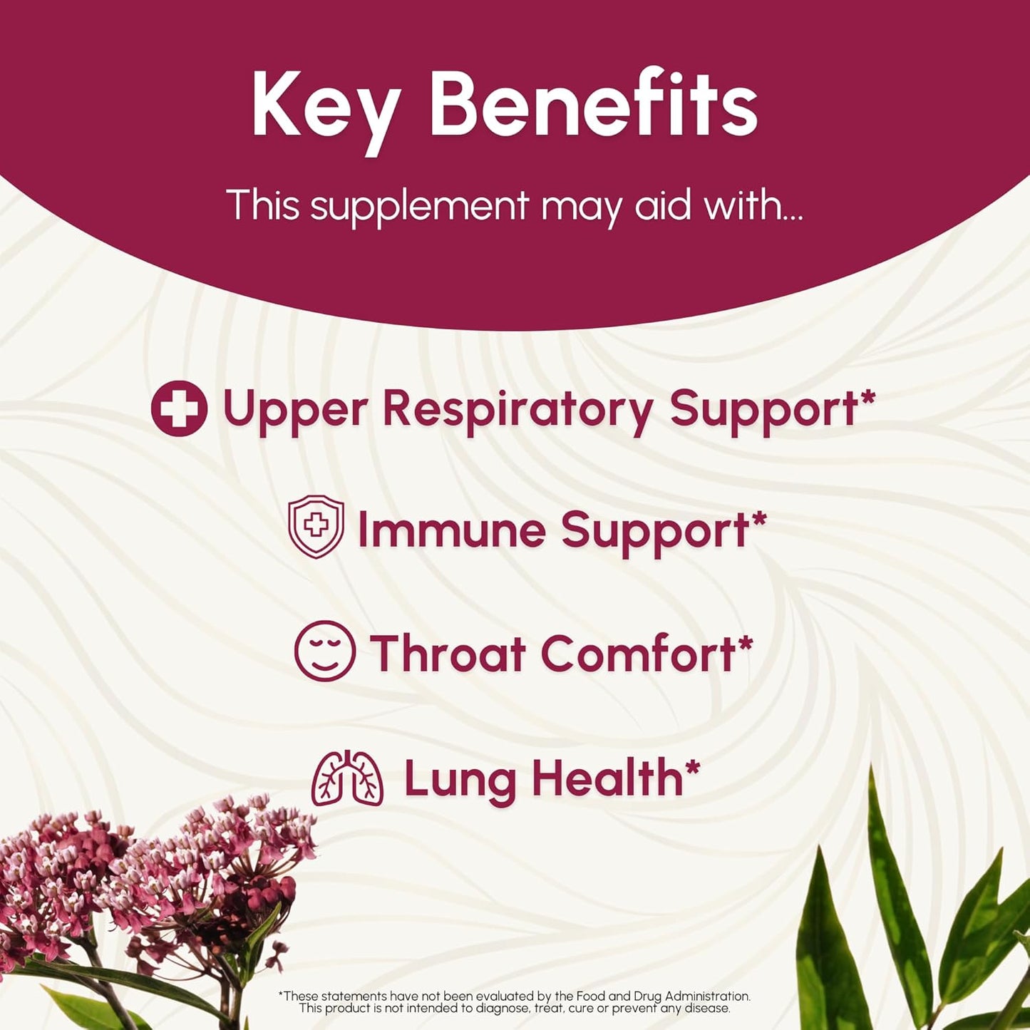 Herbal Supplement Tincture for Seasonal Discomfort and Immune System Support - Elderberry, OSHA, Yarrow - 2 Fl Oz