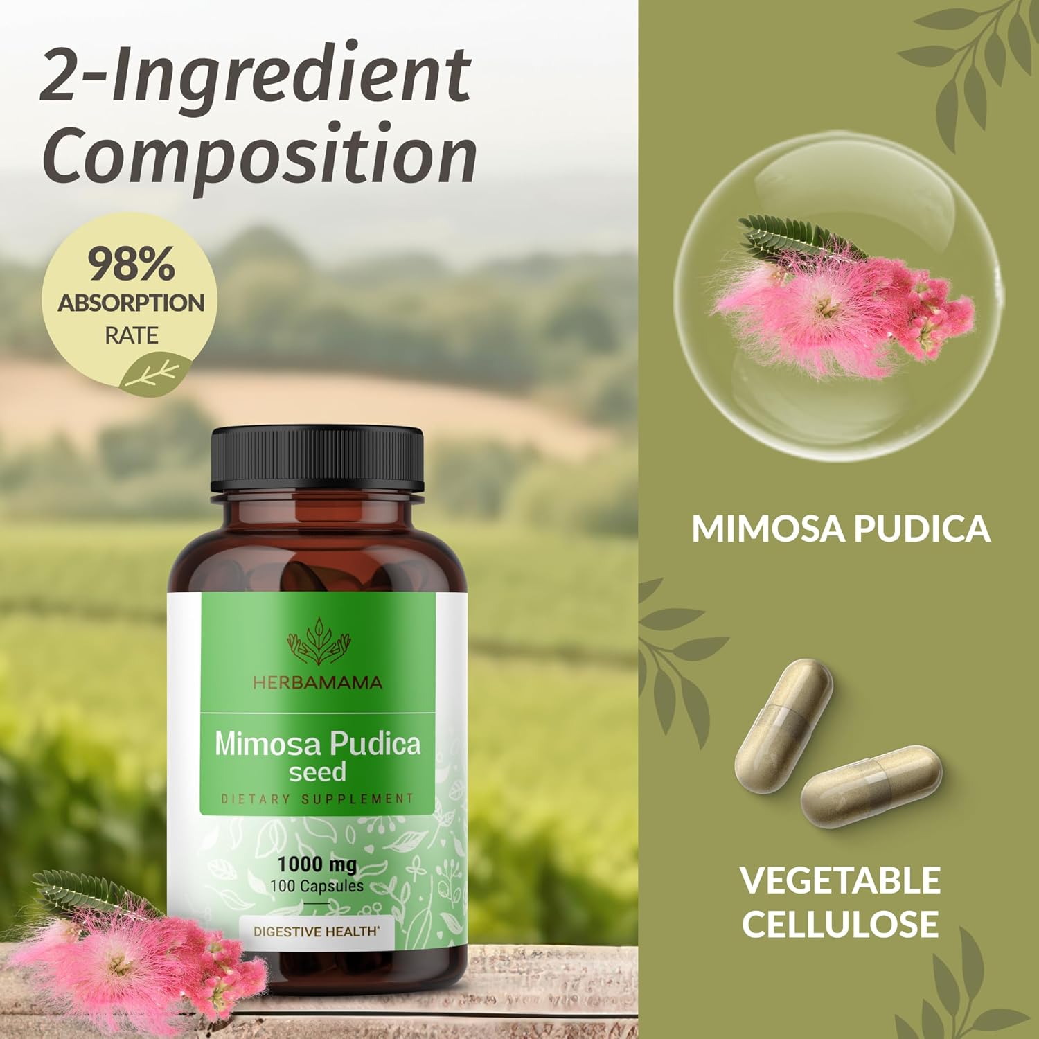 HERBAMAMA Mimosa Pudica Capsules & Quercetin Gummies Bundle - 1000mg and 800mg - Vegan, Non-GMO - 2 Pack