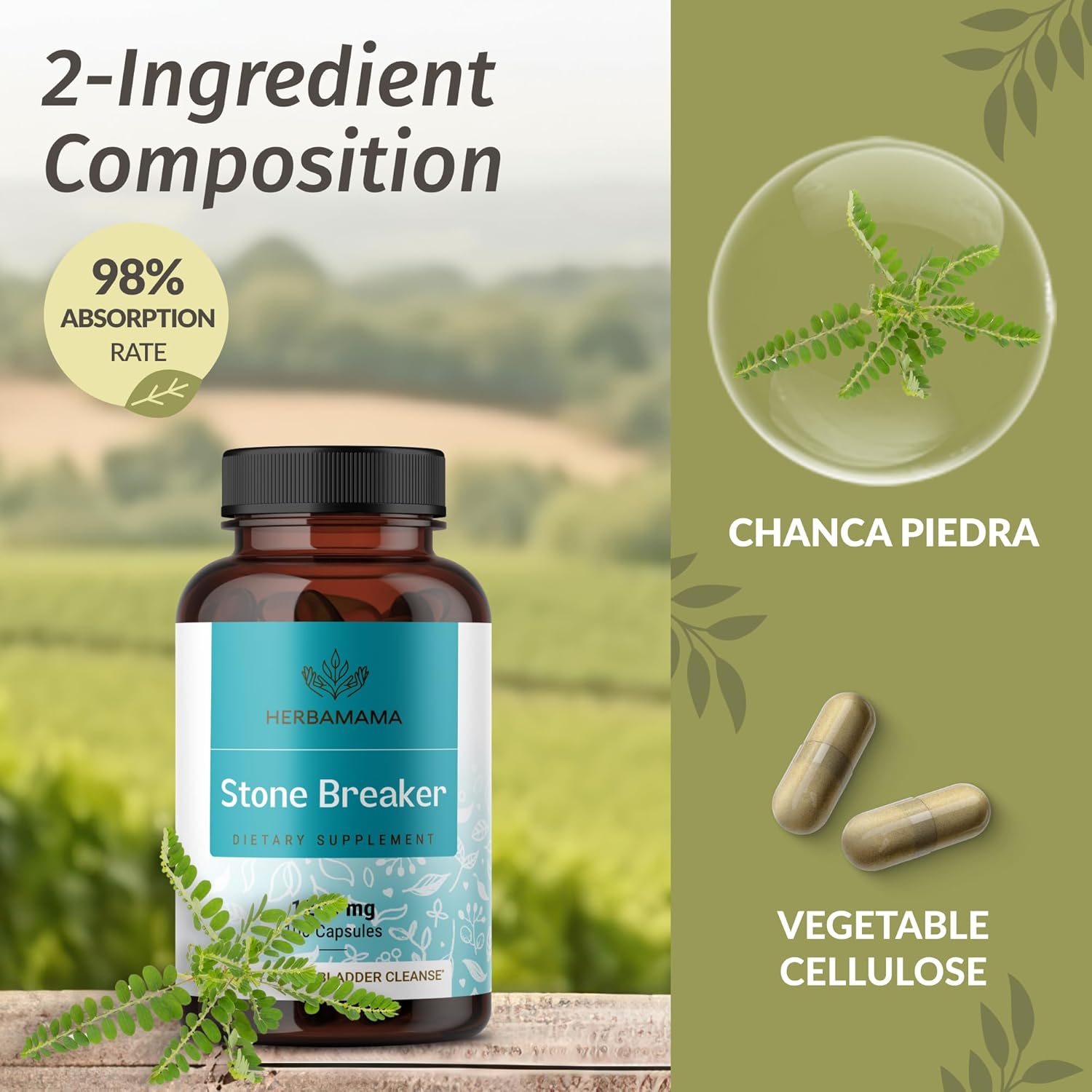 HERBAMAMA Stone Breaker and Potassium Iodine Bundle - 1200 mg Capsules & Gummies - Vegan, Non-GMO - 2 Pack