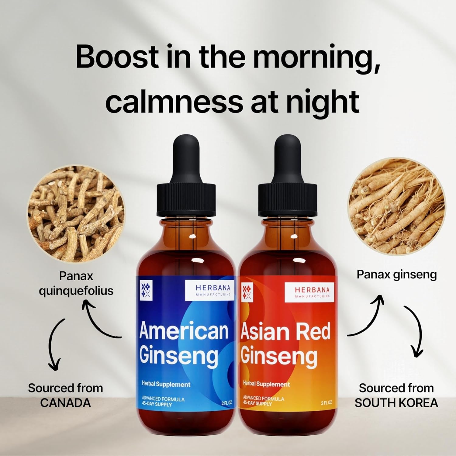 Herbana Manufacturing Ginseng Liquid Extract Duo for Energy, Focus, and Immune Support - Panax Ginseng Tincture Pack