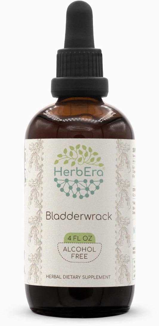 HerbEra Bladderwrack B120 Alcohol-Free Herbal Extract Tincture - Concentrated Liquid Drops - 4 fl oz - Natural Fucus Vesiculosus Dried Plant