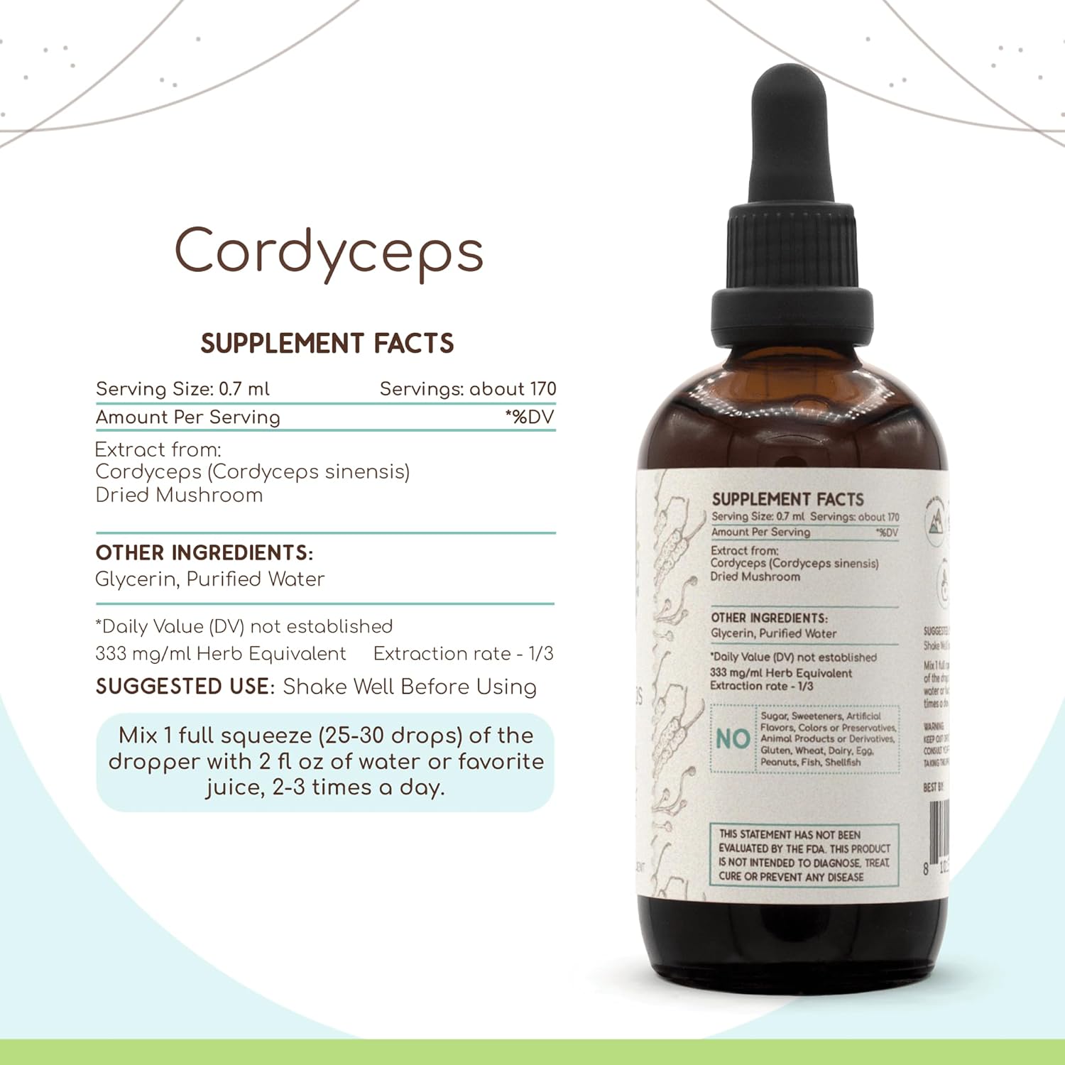 HerbEra Cordyceps B120 Herbal Extract Tincture - Alcohol-Free Concentrated Liquid Drops with Natural Dried Cordyceps Mushroom - 4 fl oz