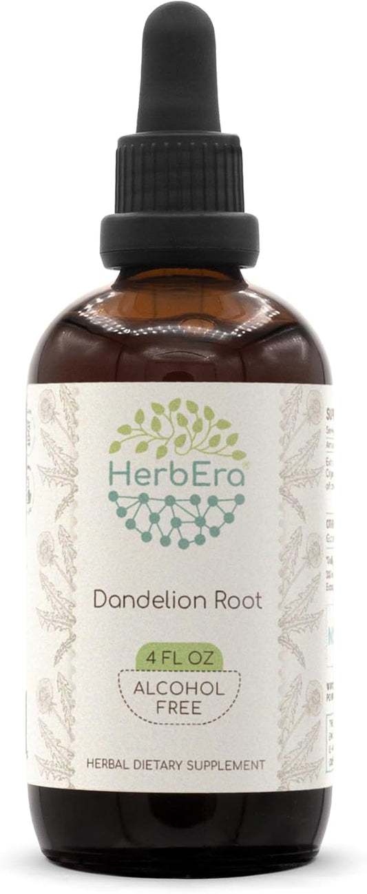 HerbEra Dandelion Root Alcohol-Free Tincture - Super-Concentrated Extract (4 fl oz)