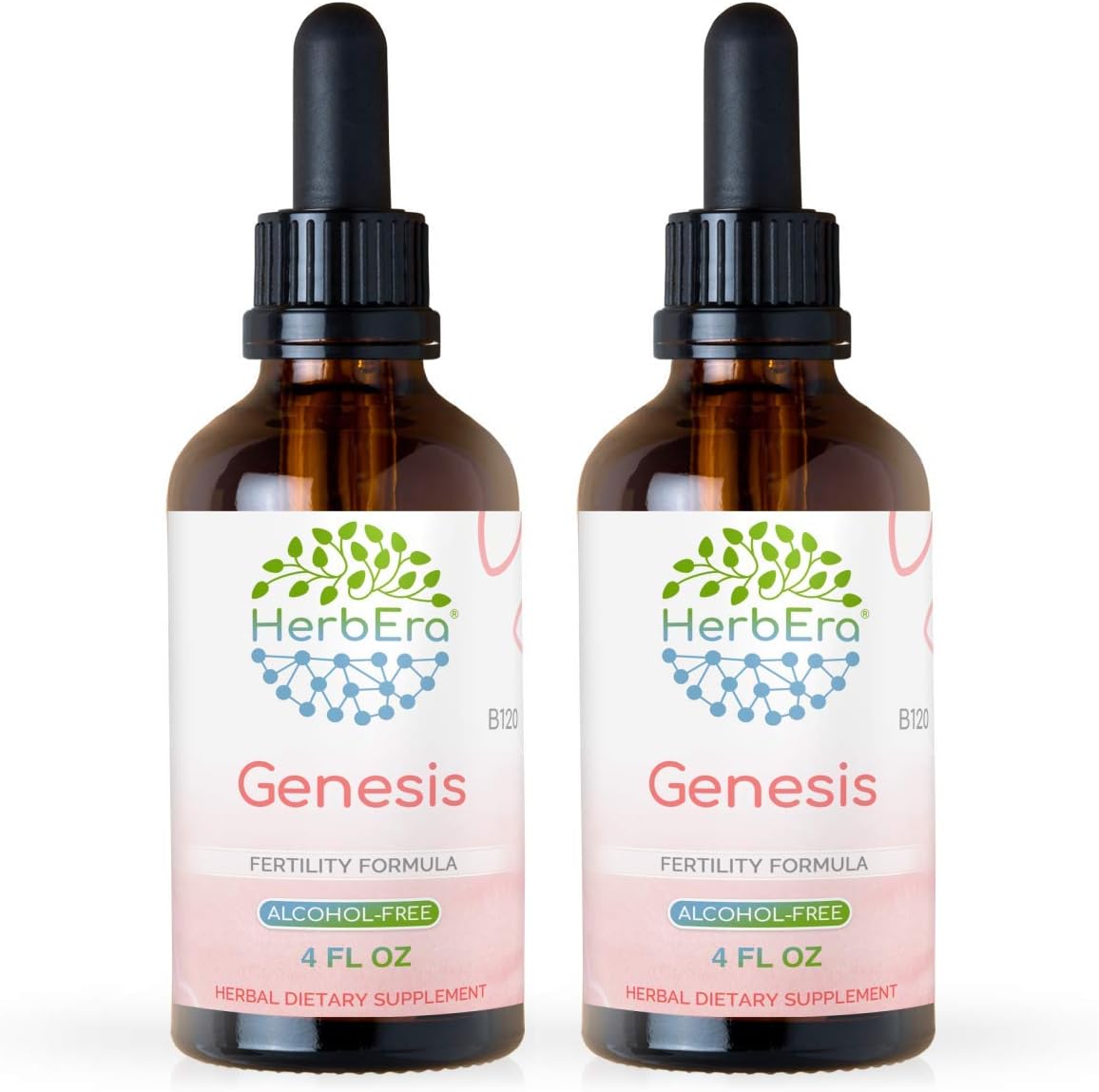 HerbEra Genesis B120 Alcohol-Free Fertility Tincture with Vitex, Maca, Dong Quai, Ginger, Shatavari, Cinnamon Bark - 2x4 Fl Oz