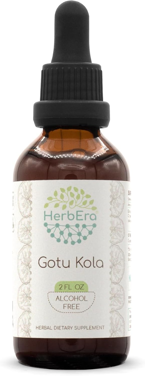 HerbEra Gotu Kola Alcohol-Free Tincture - Concentrated Liquid Extract 2 fl oz
