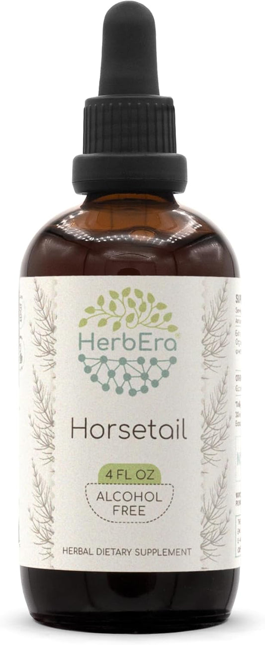 HerbEra Horsetail B120 Herbal Extract Tincture - Alcohol-Free Concentrated Liquid Drops - 4 fl oz