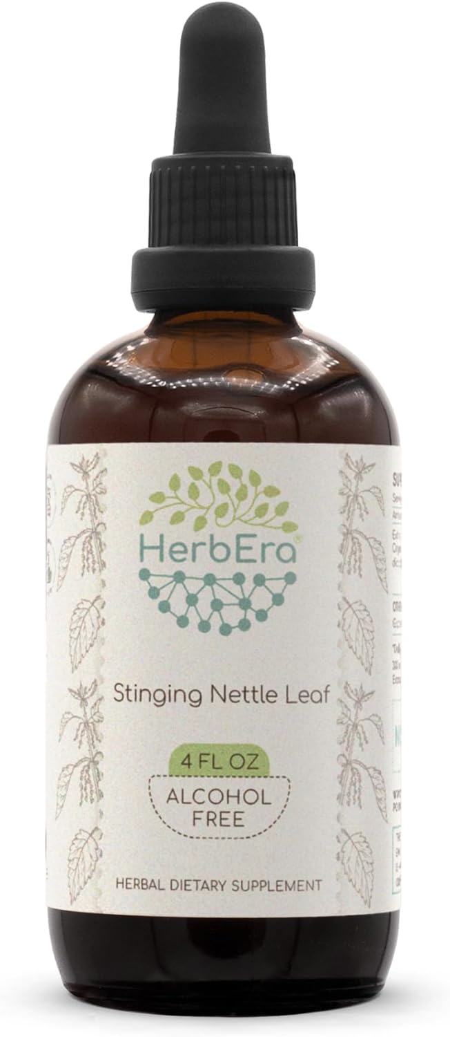 HerbEra Stinging Nettle Leaf Herbal Extract Tincture - Alcohol-Free Concentrated Liquid Drops - 4 fl oz