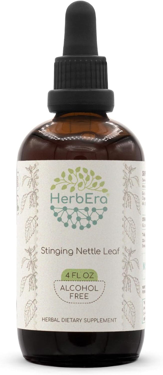 HerbEra Stinging Nettle Leaf Herbal Extract Tincture - Alcohol-Free Concentrated Liquid Drops - 4 fl oz
