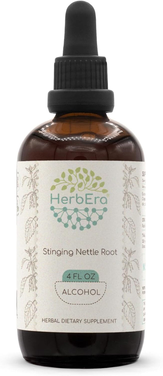 HerbEra Stinging Nettle Root Alcohol Extract Tincture - Concentrated Liquid Drops from Dried Urtica Dioica Root - 4 fl oz