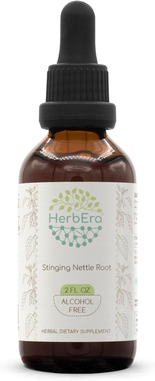 HerbEra Stinging Nettle Root Alcohol-Free Tincture - 2 fl oz Liquid Drops - Urtica Dioica Herbal Extract