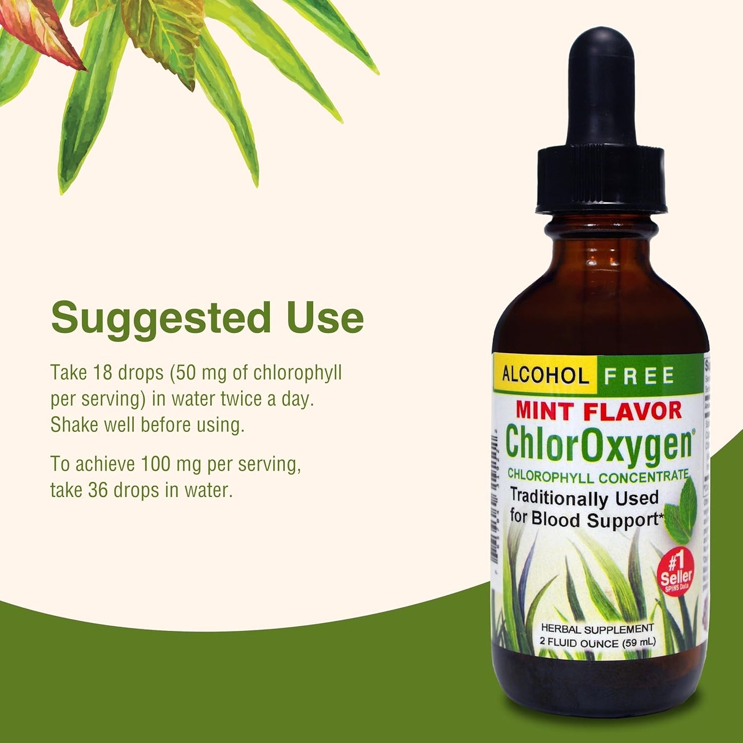 Herbs Etc. ChlorOxygen Chlorophyll Concentrate - Natural Energy and Vitality Support - Mint Flavored Liquid Supplement - Alcohol-Free - 2 fl oz