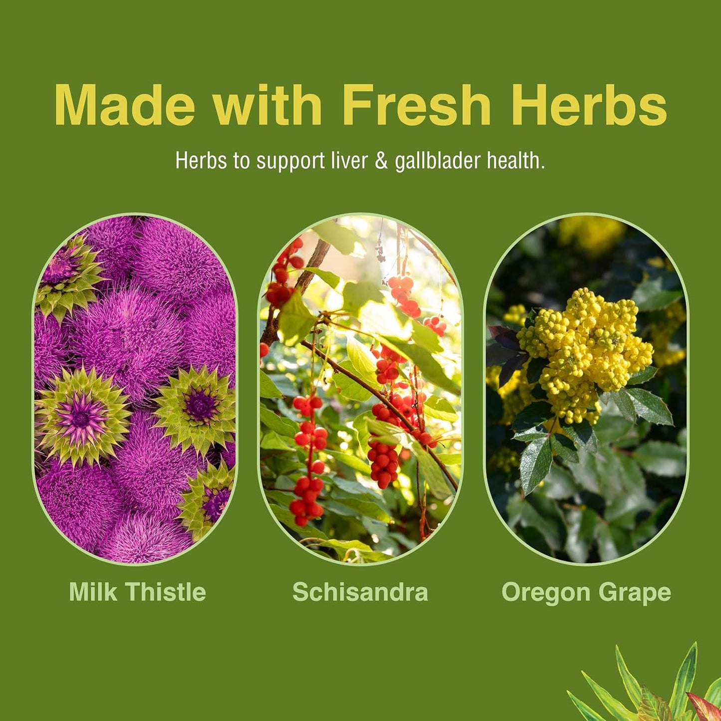 Herbs Etc Liver Tonic Capsules - 60 Count Bottle