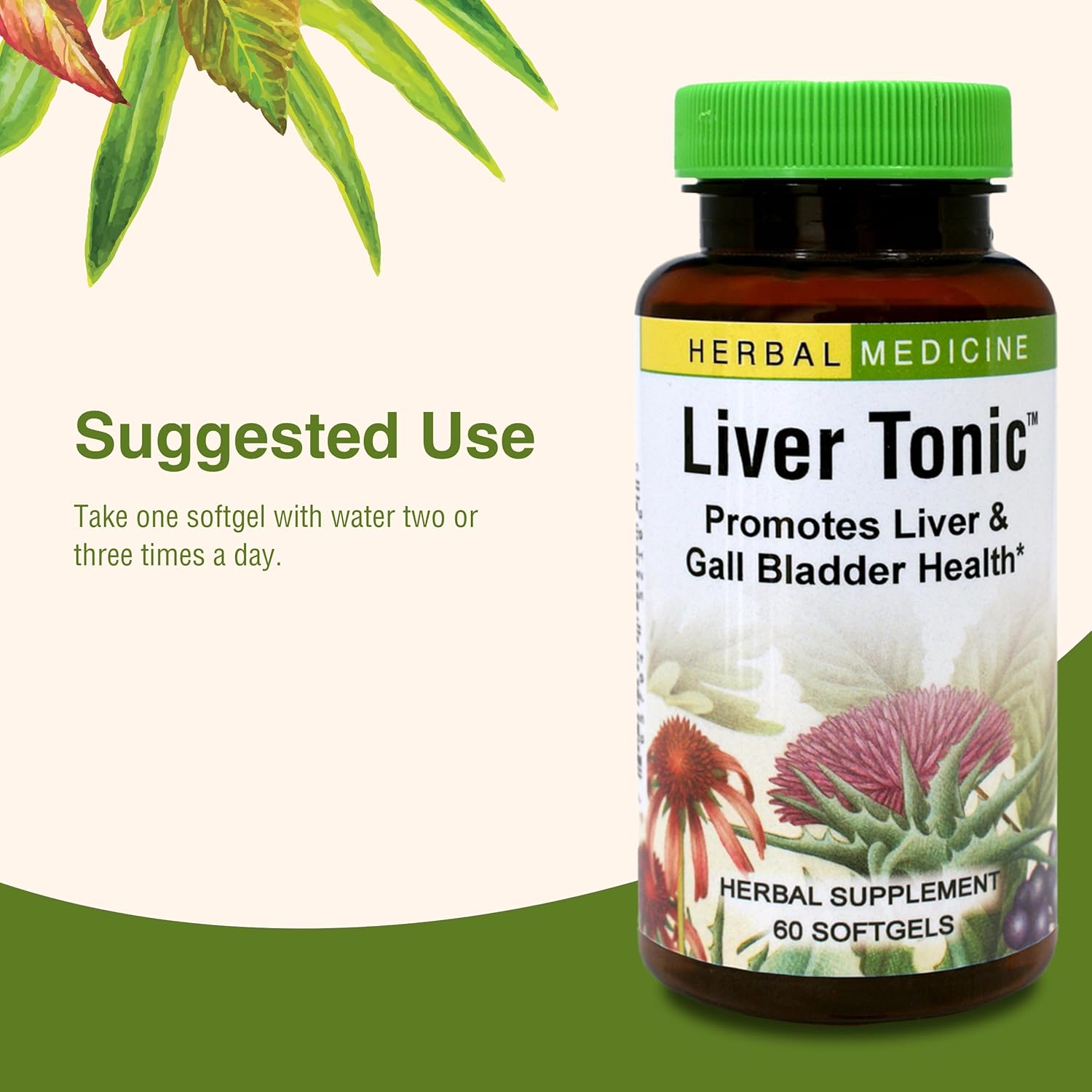 Herbs Etc Liver Tonic Capsules - 60 Count Bottle