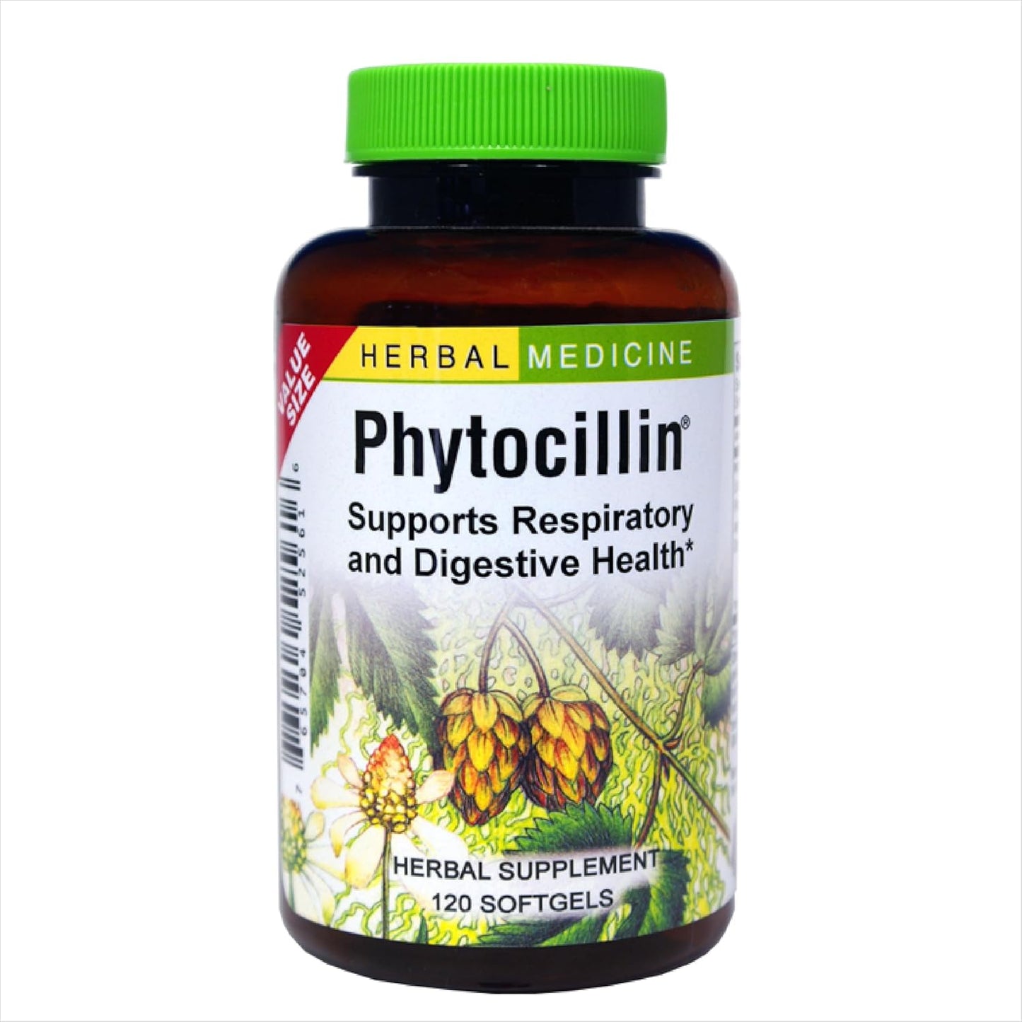 Herbs Etc. Phytocillin Softgels - Respiratory & Digestive Health Support Supplement - Herbal Formula for Healthy Breathing - 120 Servings