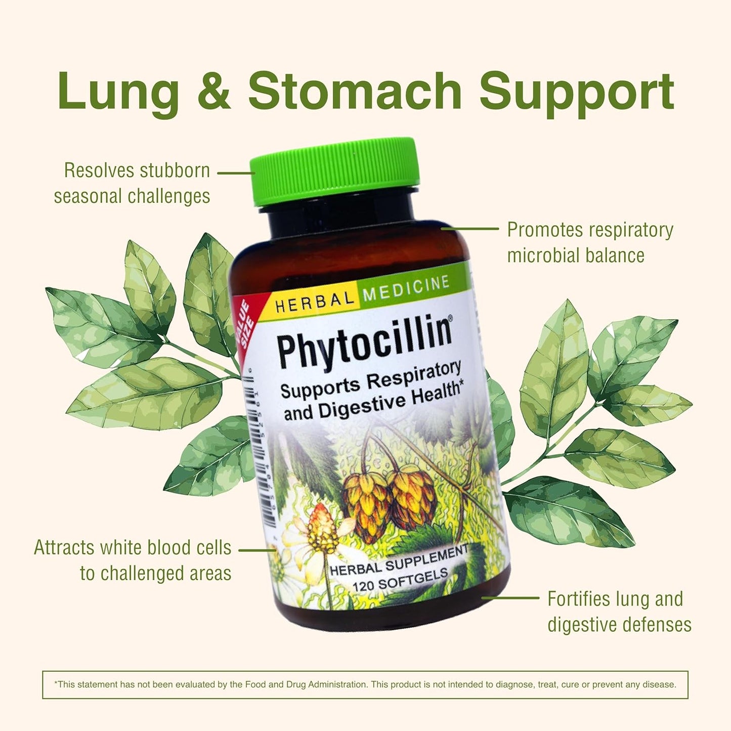 Herbs Etc. Phytocillin Softgels - Respiratory & Digestive Health Support Supplement - Herbal Formula for Healthy Breathing - 120 Servings